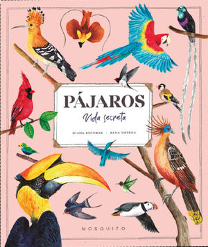 PAJAROS VIDA SECRETA