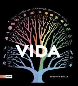 VIDA