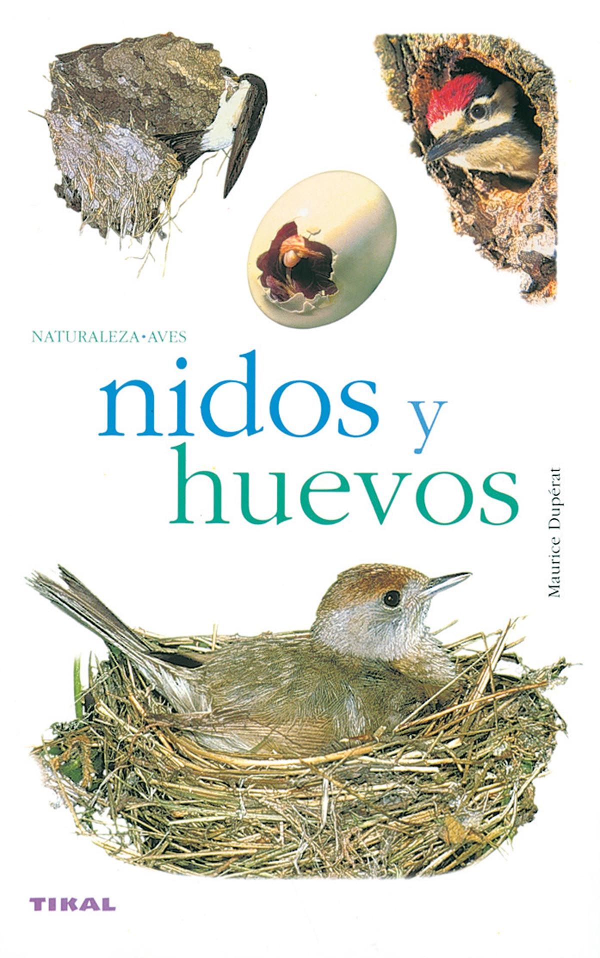 NIDOS Y HUEVOS