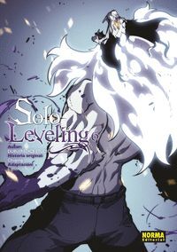 SOLO LEVELING 6