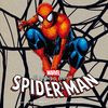 EL MUNDO SEGÚN SPIDER-MAN