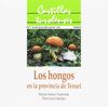 LOS HONGOS EN LA PROVINCIA DE TERUEL